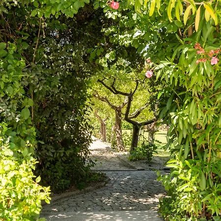 Tatil Evi Casa Da Concha Vassal