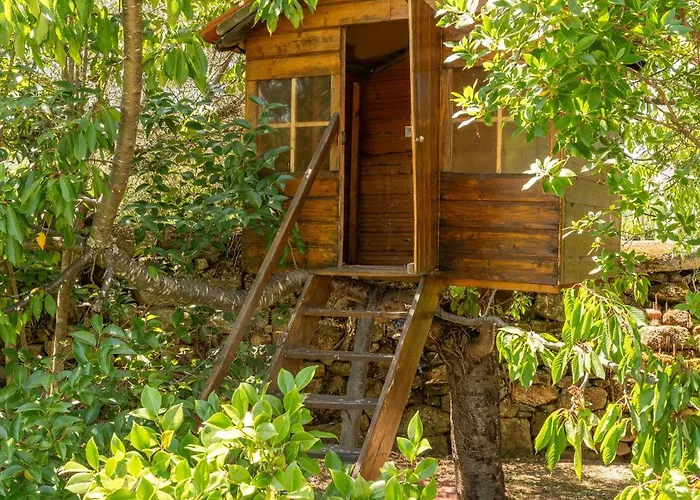 Casa Da Concha * Vassal